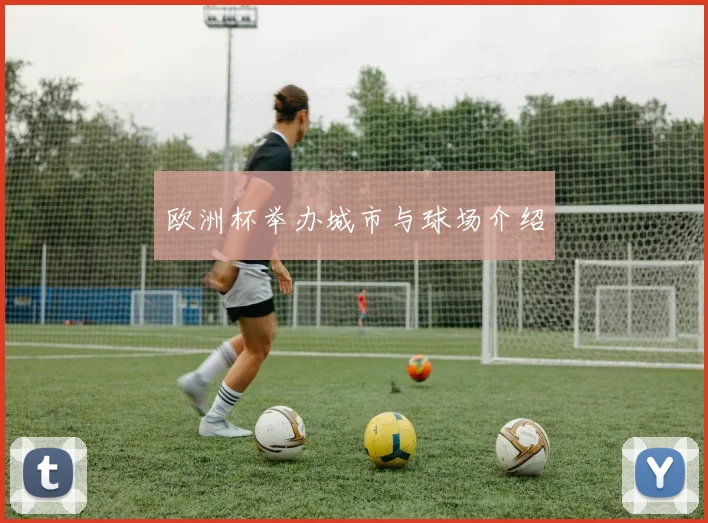 欧洲杯举办城市与球场介绍