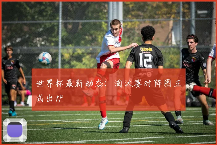 世界杯最新动态:淘汰赛对阵图正式出炉